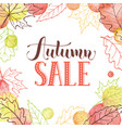 autumn poster vector image vector image