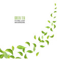flying green leaves on white background leaves vector image vector image