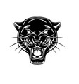 panther face head image vector image