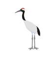 drawing bird red-crowned crane vector image vector image