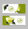 olive oil banner set vector image