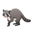 raccoon cartoon animal vector image