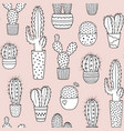 cacti seamless pattern background vector image