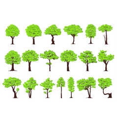 set of trees vector image vector image