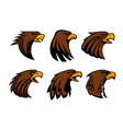 sport team eagle or hawk bird head mascot vector image vector image