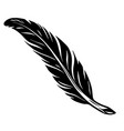 elegant vintage feather tattoo concept vector image vector image