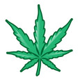marijuana leaf isolated on white background vector image vector image