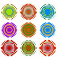 top view flowers with unreal combination vector image