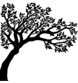 drawing of the tree vector image vector image