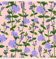 blue flowers on a pink background periwinkle vector image
