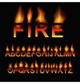 fire font vector image