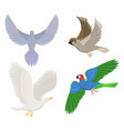 set of different flying birds vector image vector image