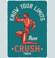t-shirt or poster design vector image