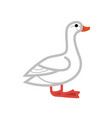 goose or duck flat thin line vector image