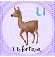 illama vector image vector image