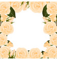 orange rose border vector image