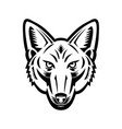 head american jackal front view retro woodcut vector image vector image