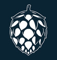 brewery hop for craft beer bar and pub vector image
