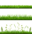 grass borders vector image