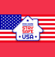 patriotic background with united states flag stay vector image