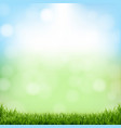 nature green background with bokeh and grass vector image vector image