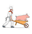 chef pushing wheelbarrow and pig color drawing vector image vector image