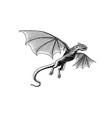 dragon in vintage style mythological animal vector image vector image