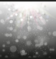 night black background with sparkles and rays vector image