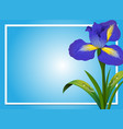 border template with blue iris vector image