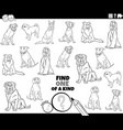 one a kind task with purebred dogs coloring vector image