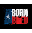 texan flag born n bred vector image