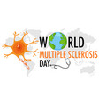 world multiple sclerosis day logo or banner vector image
