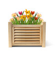 flowers in a wooden box vector image vector image