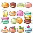 colored of delicious macaroons vector image