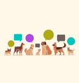 group purebred dogs with chat bubble speech vector image