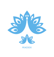 peacock vector image vector image