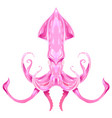 color of pink squid the object vector image vector image