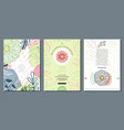 decorative invitation brochure and cards set vector image vector image
