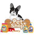 pet care logo or banner with cute dogs on white vector image