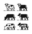 dairy cow symbols vector image