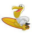 pelican cartoon hold surfboard vector image vector image