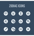 zodiac signs vector image vector image