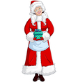 mrs santa claus vector image