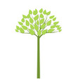 simple green tree with green trunk eco concept vector image