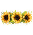 sunflowers vector image