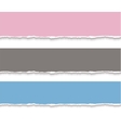 torn paper blank banners realistic vector image