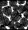 tropical leaves seamless pattern isolated hand vector image
