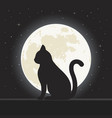 a silhouette black cat vector image