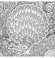 coloring page for adults with peacock vector image vector image