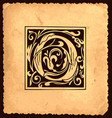 vintage initial letter o with baroque decorations vector image
